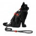 *Zee.Cat Skull Harness & Leash Set