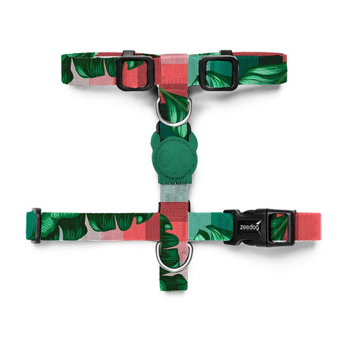 *Zee.Dog Bali H-Harness