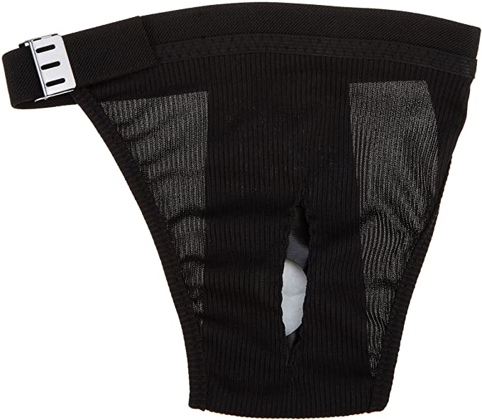 *PAWISE DOG PANT