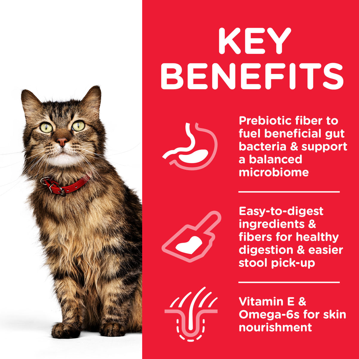 Science Plan Sensitive Stomach & Skin Adult Cat Food With Chicken (1.5kg) (4595804930101)