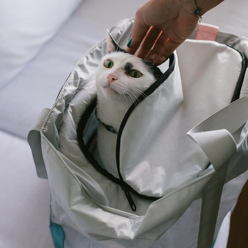 Zee.Cat Kombucha Cat Carrier Bag