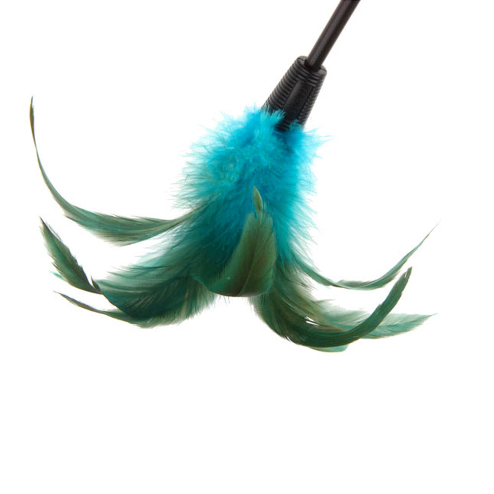 Catwand Feather Teaser w/ Natural Feather &TPR Handle (Blue stick)