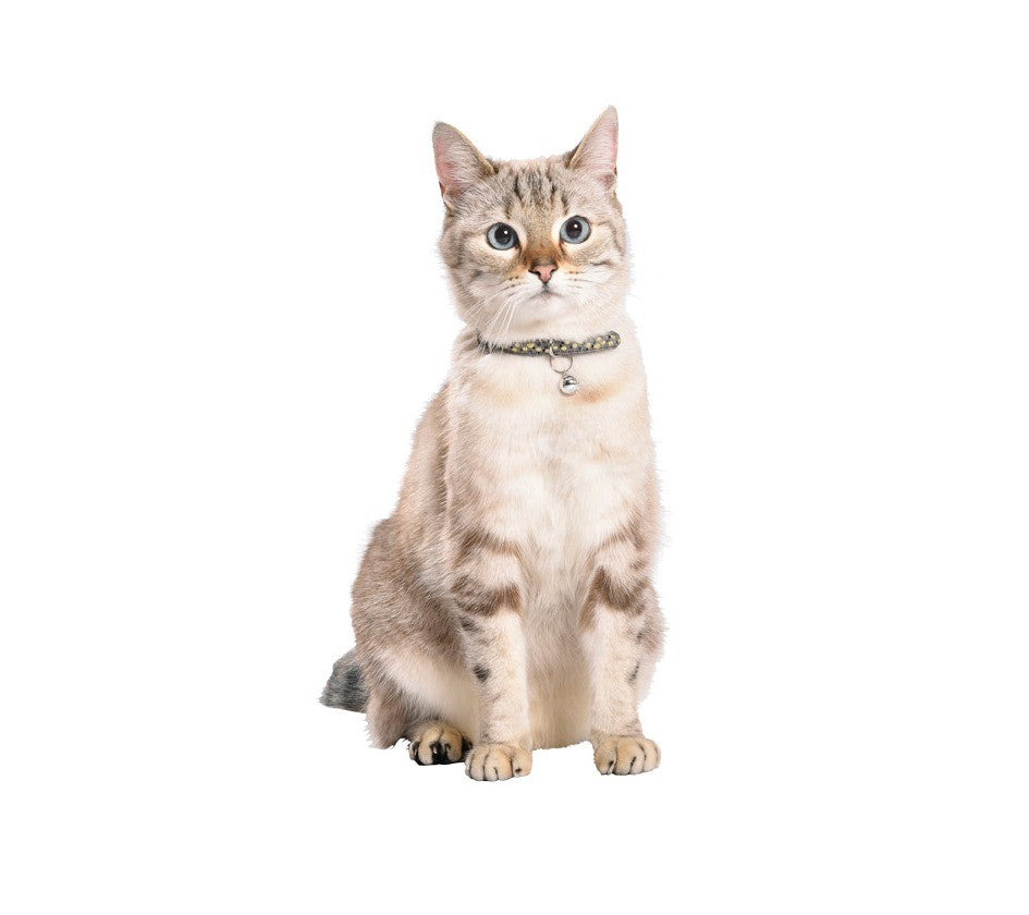 CHAMANE CAT COLLAR (4617418735669)