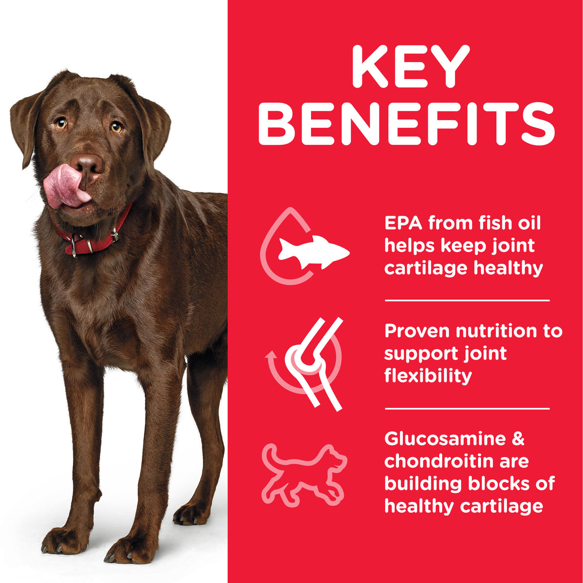 Science Plan Healthy Mobility Large Breed Adult Dog Food With Chicken (14kg) (4595819151413)