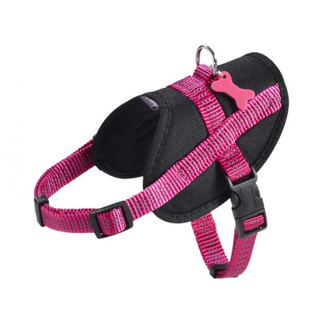 EASY SAFE HARNESS - FUSCHIA (4606113218613)
