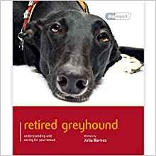 RETIRED GREYHOUND - DOG EXPERT (4606635999285)
