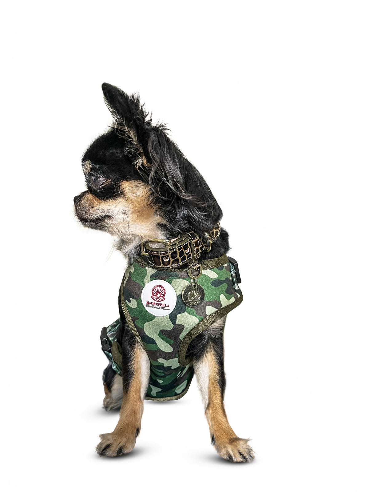 Camouflage Harness & Leash