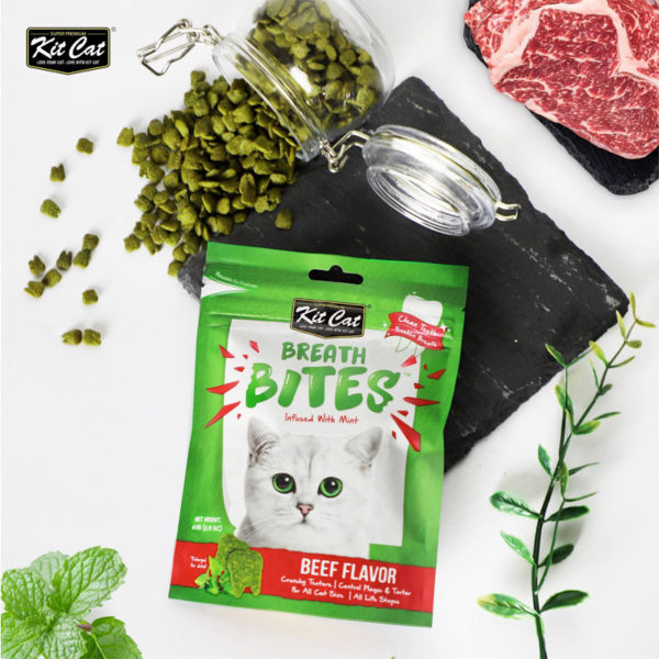 Breath Bites Beef Flavor (60g) (4598927720501)