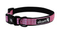 ADVENTURE COLLAR- PINK