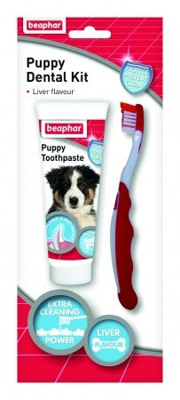 *PUPPY DENTAL KIT - 50G