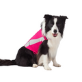 THUNDERSHIRT DOG PINK