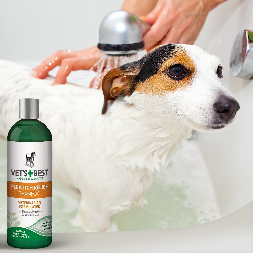 Vet’s Best Flea Itch Relief Shampoo 16oz Pet Boutique & Spa