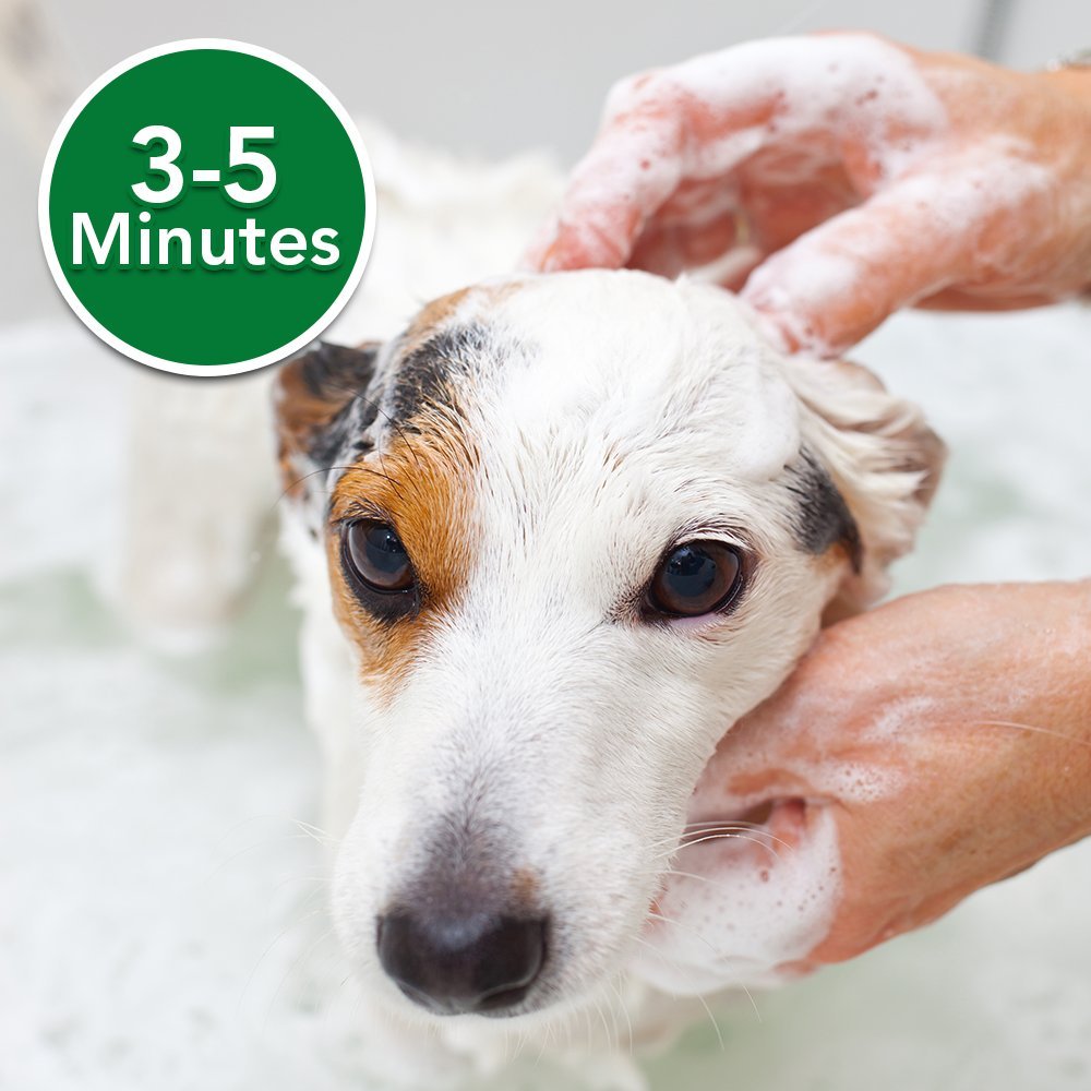 Vet’s Best Flea Itch Relief Shampoo 16oz Pet Boutique & Spa