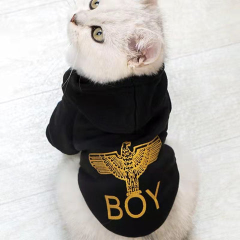 *Boy Hoodie