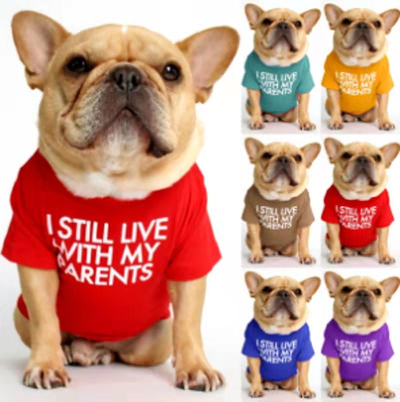*Still live with my parents T-shirt - Orange
