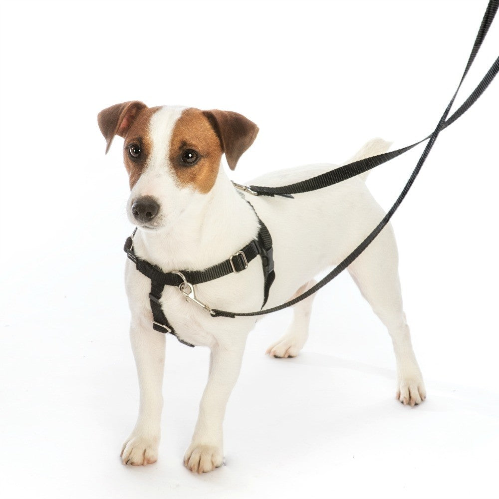 FREEDOM NO-PULL HARNESS AND LEASH - BLACK / XS 5/8" (4588881084469)