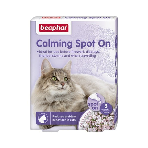 CALMING SPOT ON CAT (4589890568245)