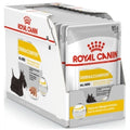 CANINE CARE NUTRITION DERMACOMFORT (WET FOOD) - 12 POUCHES