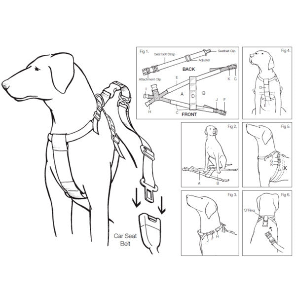 *CAR HARNESS