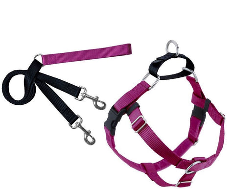 FREEDOM NO-PULL HARNESS AND LEASH - RASPBERRY / 1"