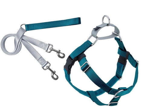 FREEDOM NO-PULL HARNESS AND LEASH - TEAL /1"