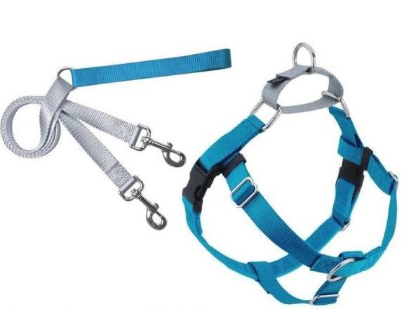 FREEDOM NO-PULL HARNESS AND LEASH - TURQUOISE /  1"