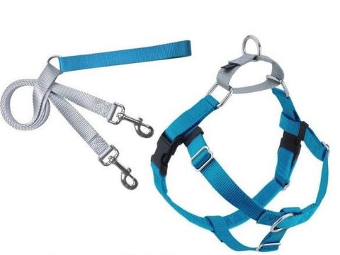 FREEDOM NO-PULL HARNESS AND LEASH - TURQUOISE /  1"