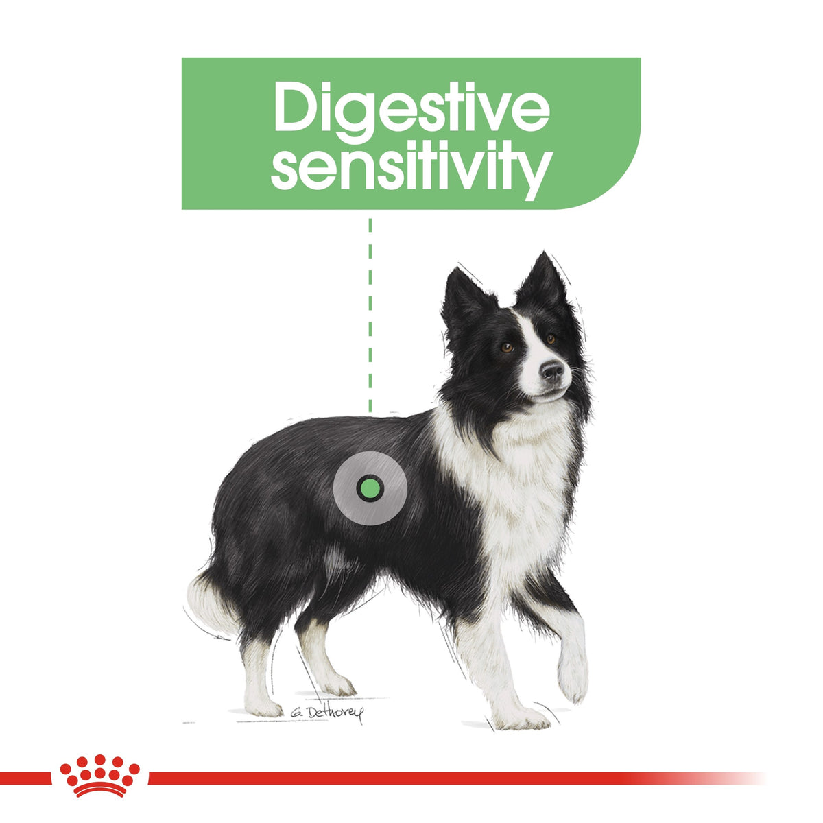 *CANINE CARE NUTRITION MEDIUM DIGESTIVE CARE 10 KG