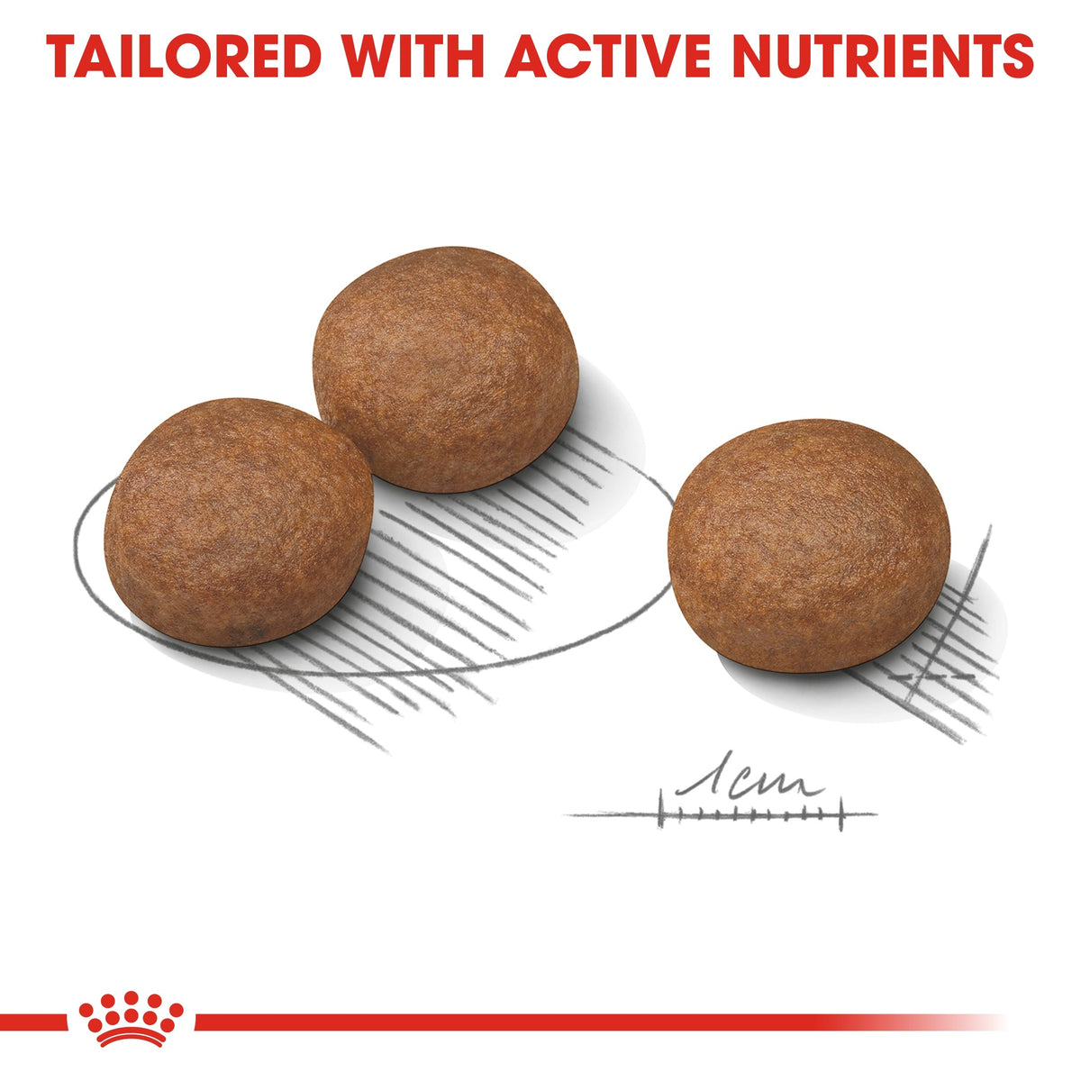 *CANINE CARE NUTRITION MEDIUM DIGESTIVE CARE 10 KG