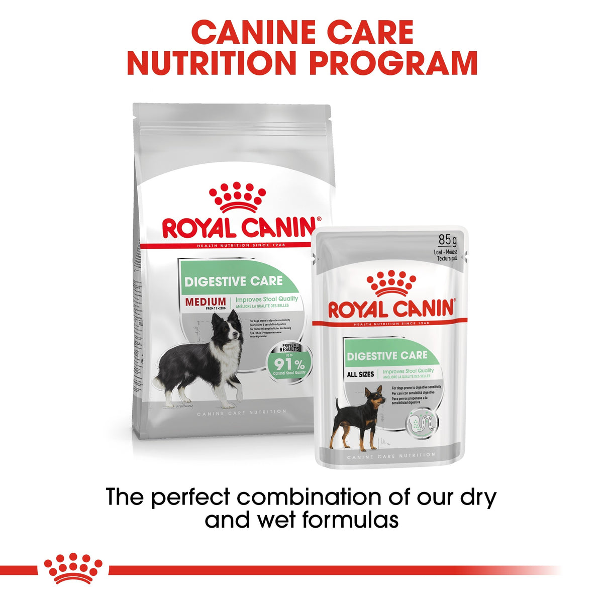 CANINE CARE NUTRITION MEDIUM DIGESTIVE CARE 10 KG