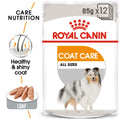 CANINE CARE NUTRITION COAT BEAUTY (WET FOOD) - POUCH