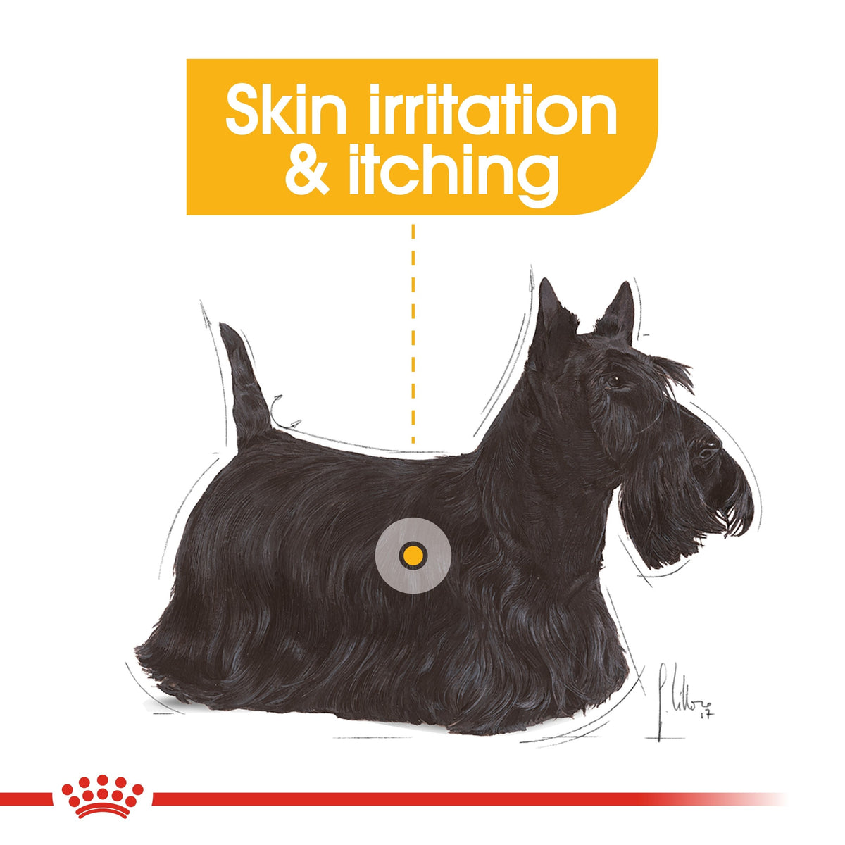 *CANINE CARE NUTRITION DERMACOMFORT (WET FOOD) - POUCH