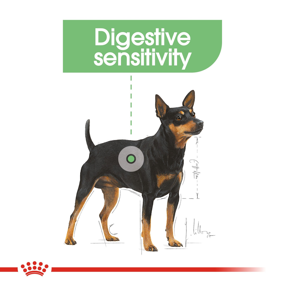 CANINE CARE NUTRITION DIGESTIVE CARE (WET FOOD) - POUCH