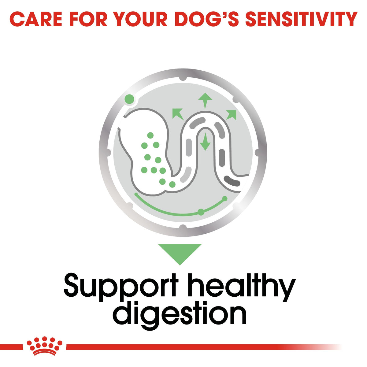 CANINE CARE NUTRITION DIGESTIVE CARE (WET FOOD) - 12 POUCHES