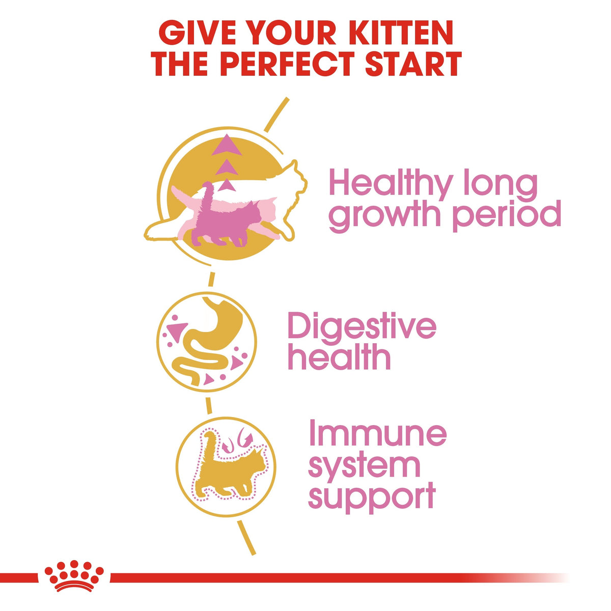 FELINE BREED NUTRITION MAINE COON KITTEN 2 KG (4598988898357)