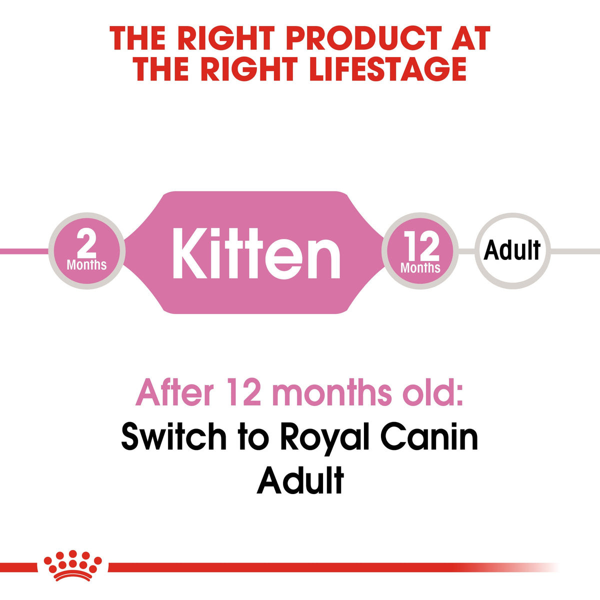 FELINE HEALTH NUTRITION KITTEN