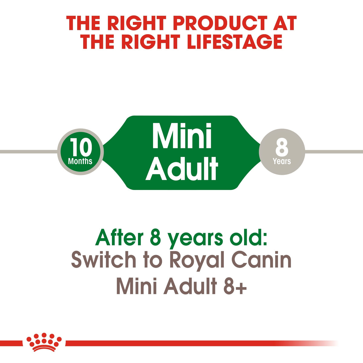 SIZE HEALTH NUTRITION MINI ADULT (4598917464117)