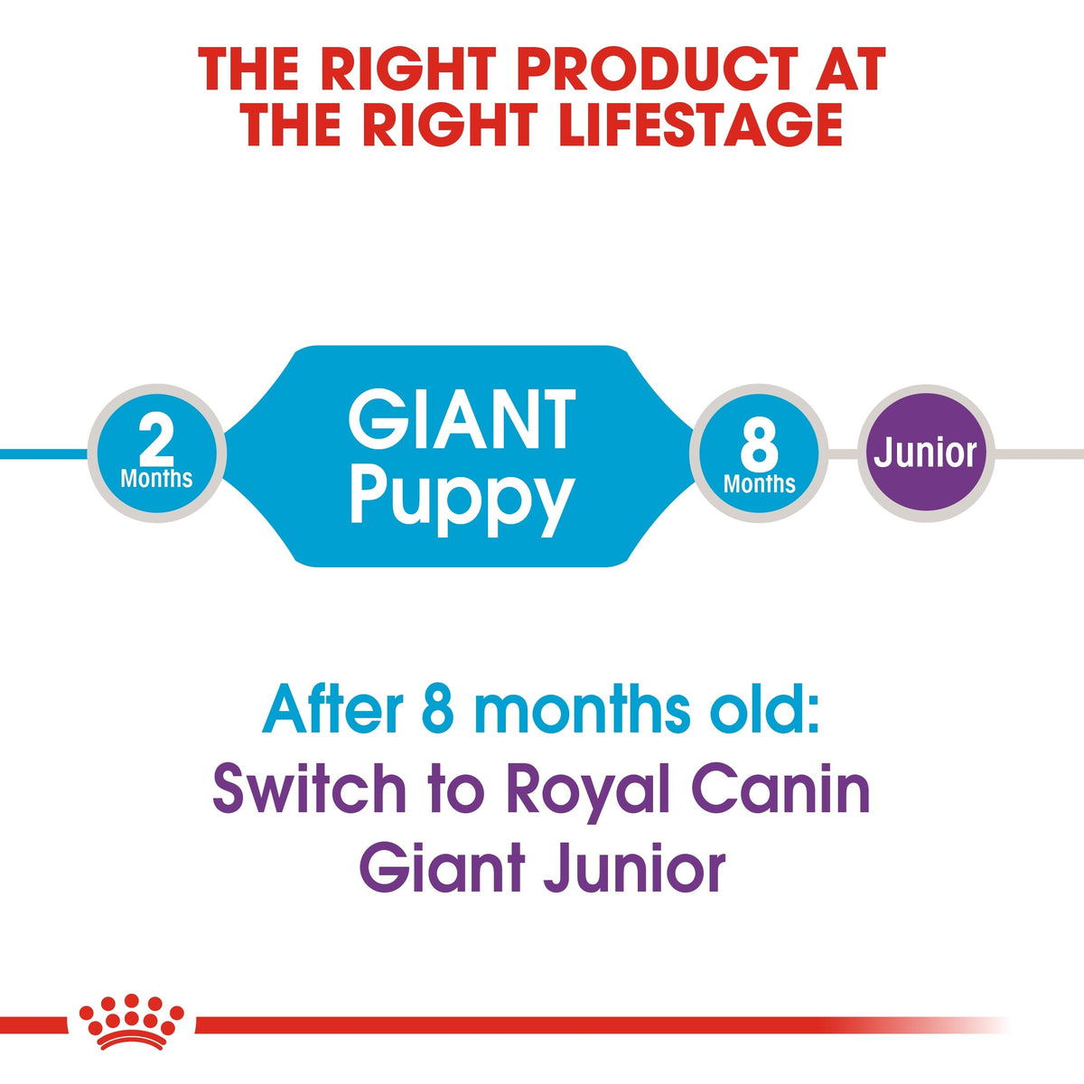 SIZE HEALTH NUTRITION GIANT PUPPY 15 KG (4598406348853)