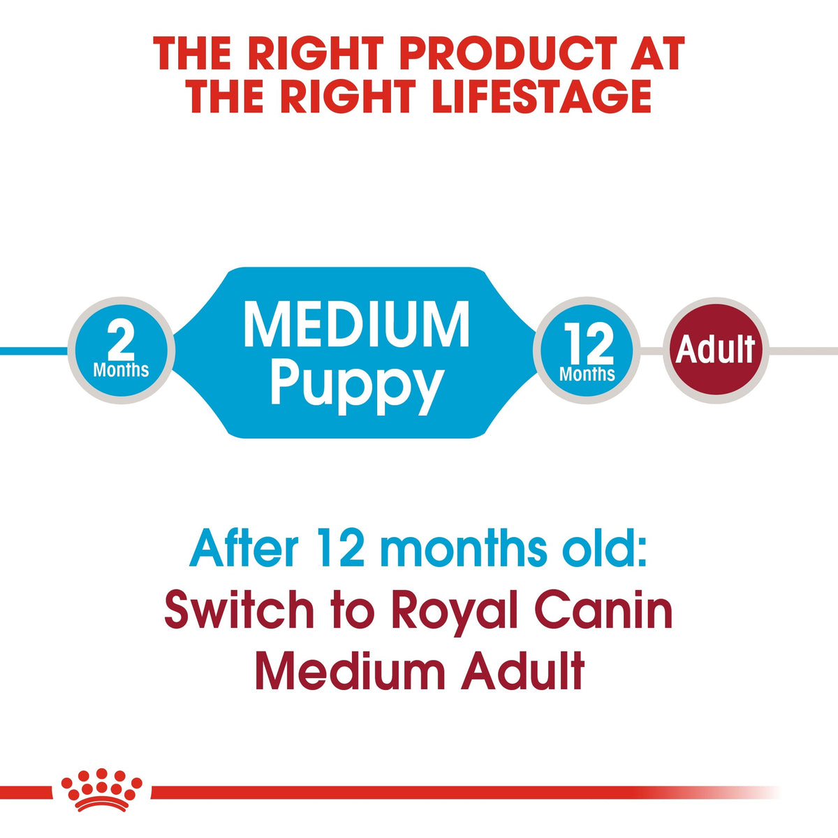 SIZE HEALTH NUTRITION MEDIUM PUPPY (4598906945589)