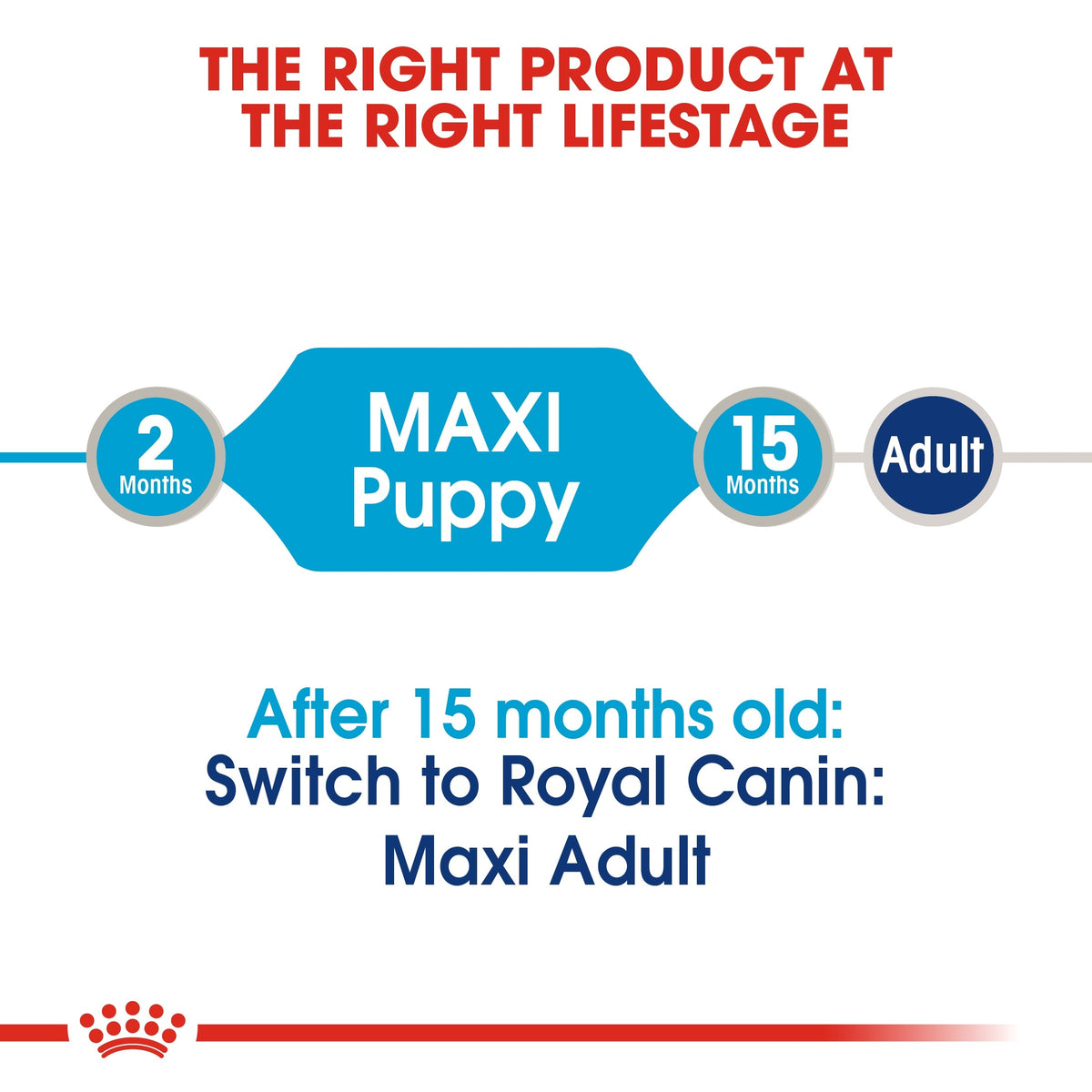 SIZE HEALTH NUTRITION MAXI PUPPY (WET FOOD - POUCHES) (4598849601589)