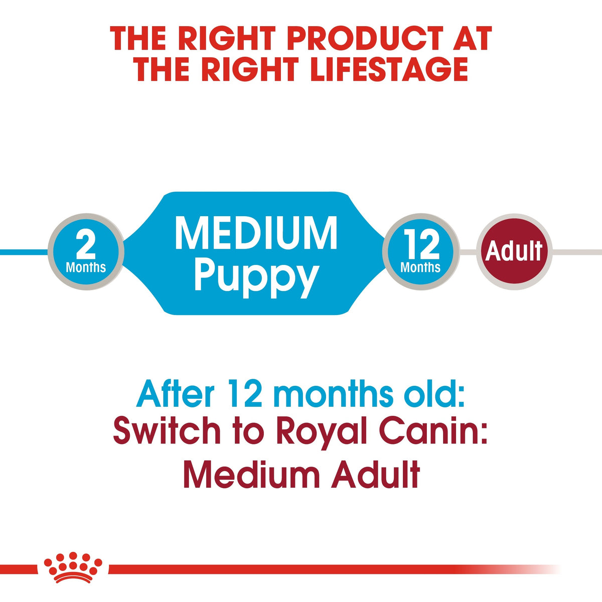 SIZE HEALTH NUTRITION MEDIUM PUPPY (WET FOOD) - POUCHE