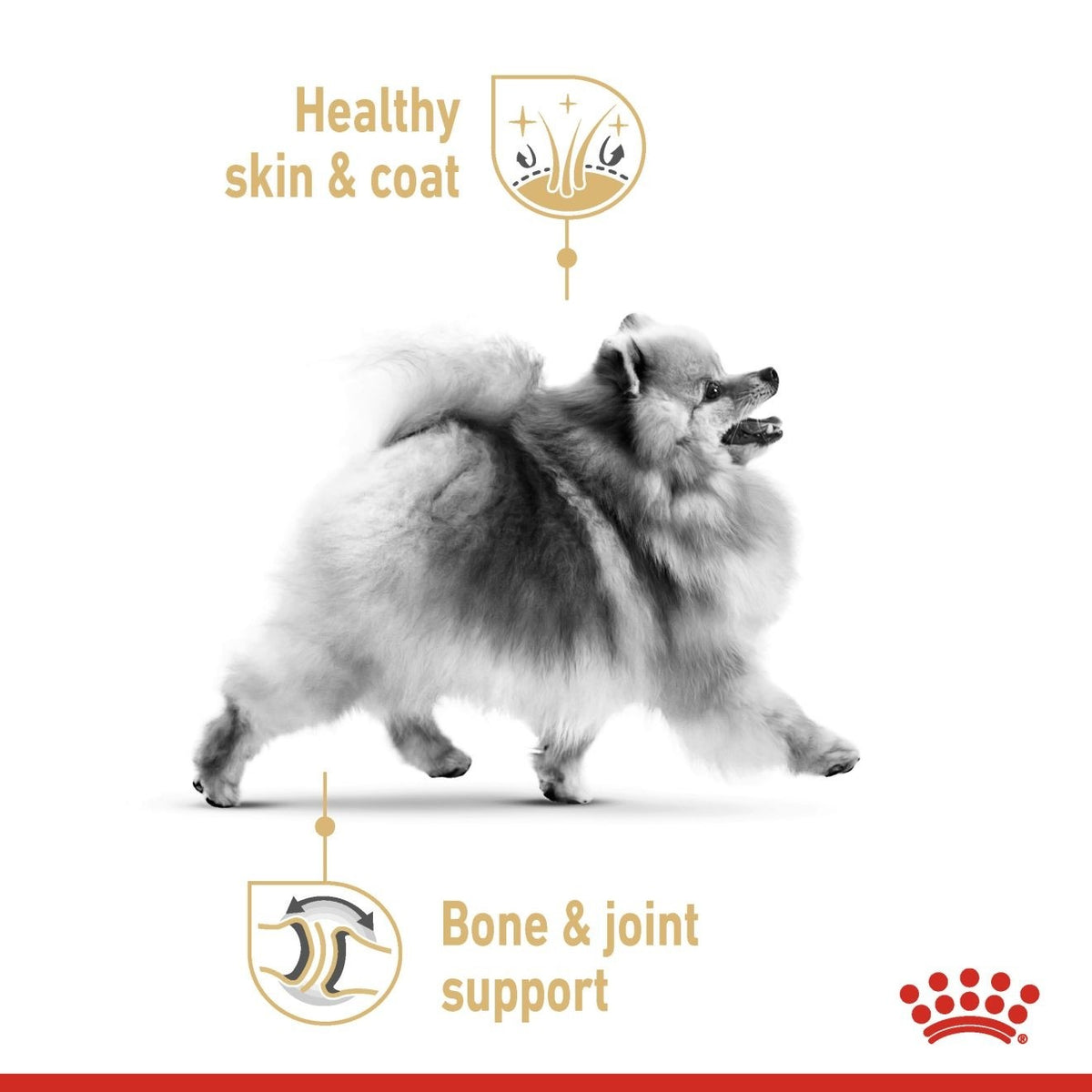 BREED HEALTH NUTRITION POMERANIAN (WET FOOD) - 12 POUCHES