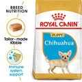BREED HEALTH NUTRITION CHIHUAHUA PUPPY 1.5 KG (4597805056053)