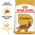 BREED HEALTH NUTRITION COCKER ADULT 3 KG (4597810626613)