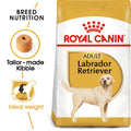 BREED HEALTH NUTRITION LABRADOR ADULT (4597868199989)
