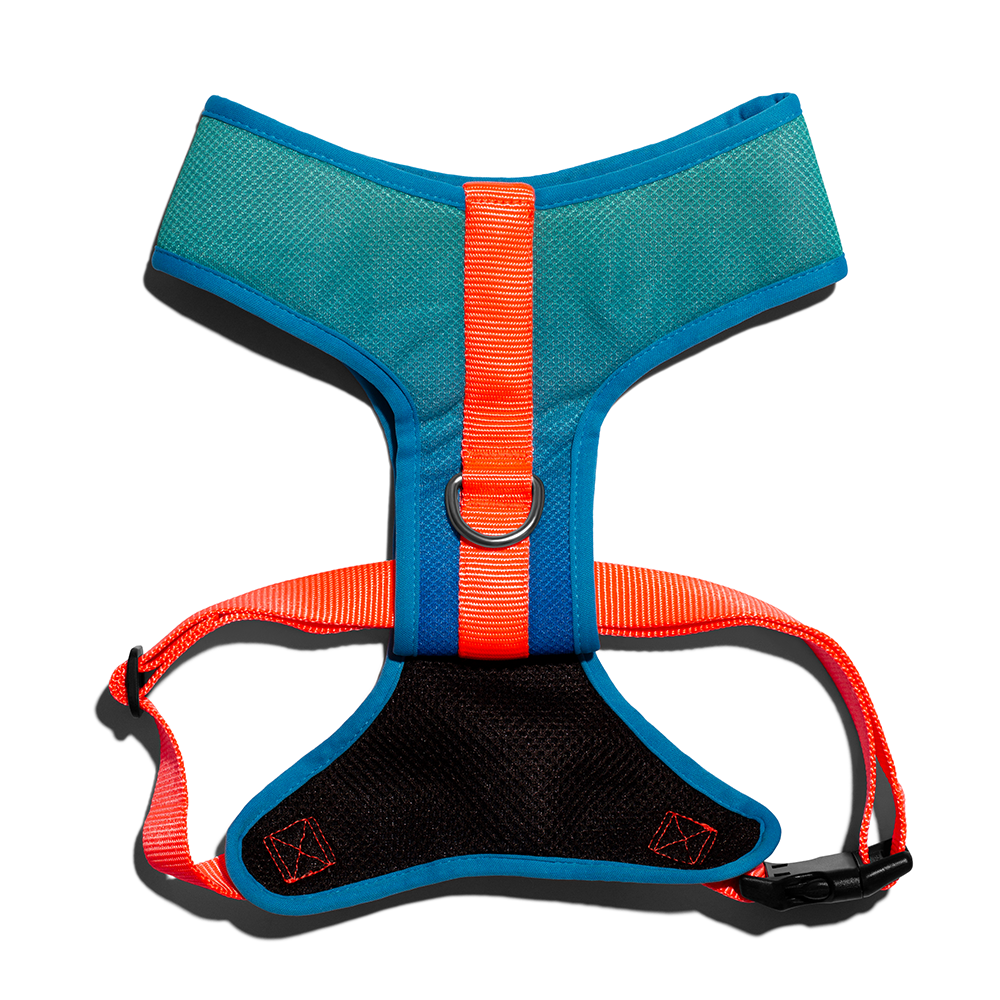 *Zee.Dog Tide Air Mesh Plus Harness