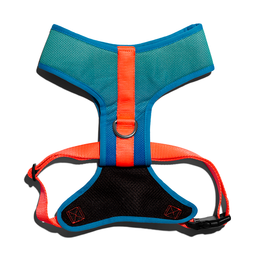 Zee.Dog Tide Air Mesh Plus Harness