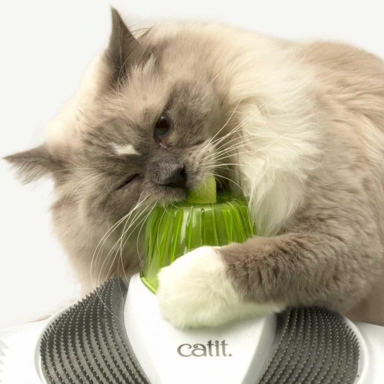 CATIT SENSES 2.0 - WELLNESS CENTER (4611974332469)